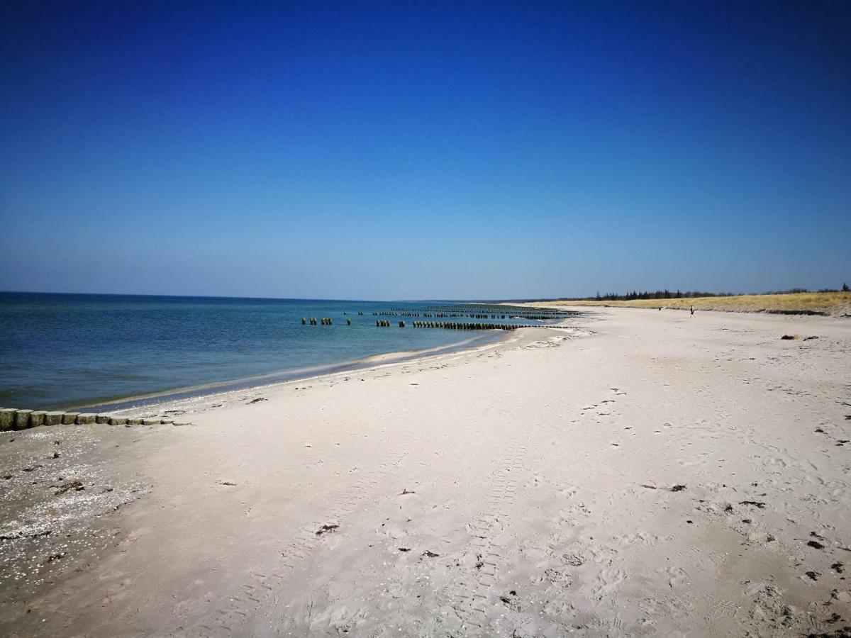 Darsser Strandgut - Haus Ahrenshooper Holz Buitenkant foto