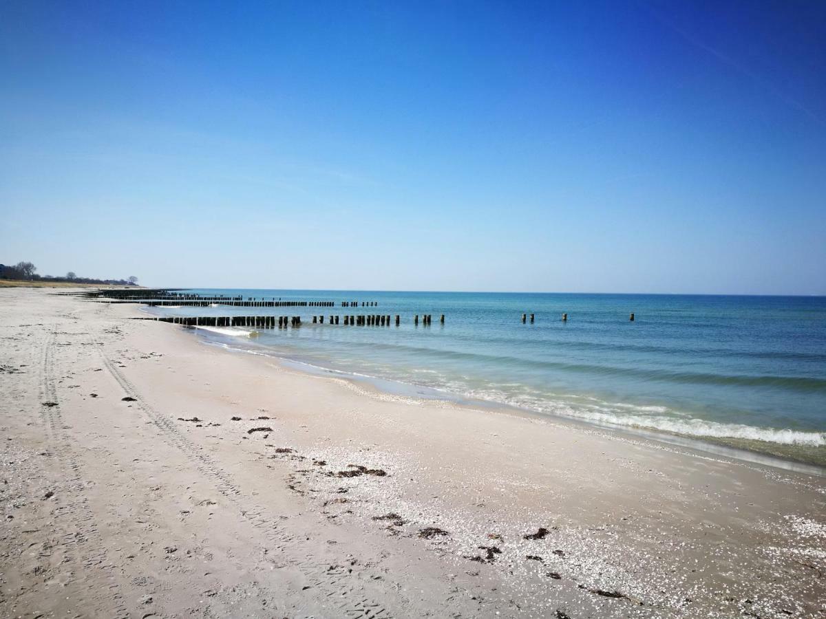 Darsser Strandgut - Haus Ahrenshooper Holz Buitenkant foto